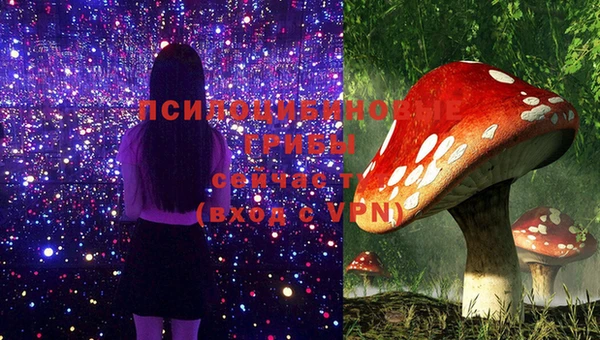 каннабис Алексеевка