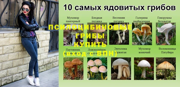 каннабис Алексин